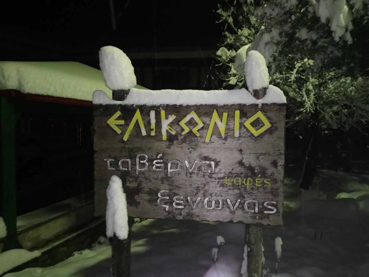 Elikonio Otel Agia Anna  Dış mekan fotoğraf